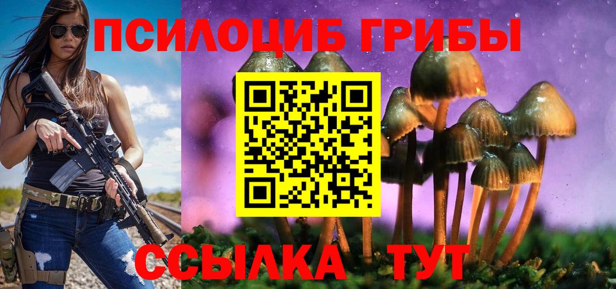 Пыть-Ях  Галлюциногенные грибы мицелий  Галлюциногенные грибы мицелий  Вход с VPN 